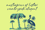 Billion Champagne Scattered Sticky, a Script Font by Letterena Studios Script (Thumbnail 3 of 15)