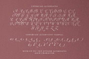 Mardigare - Luxury Script, a Script Font by Sarid Ezra (Thumbnail 11 of 11)