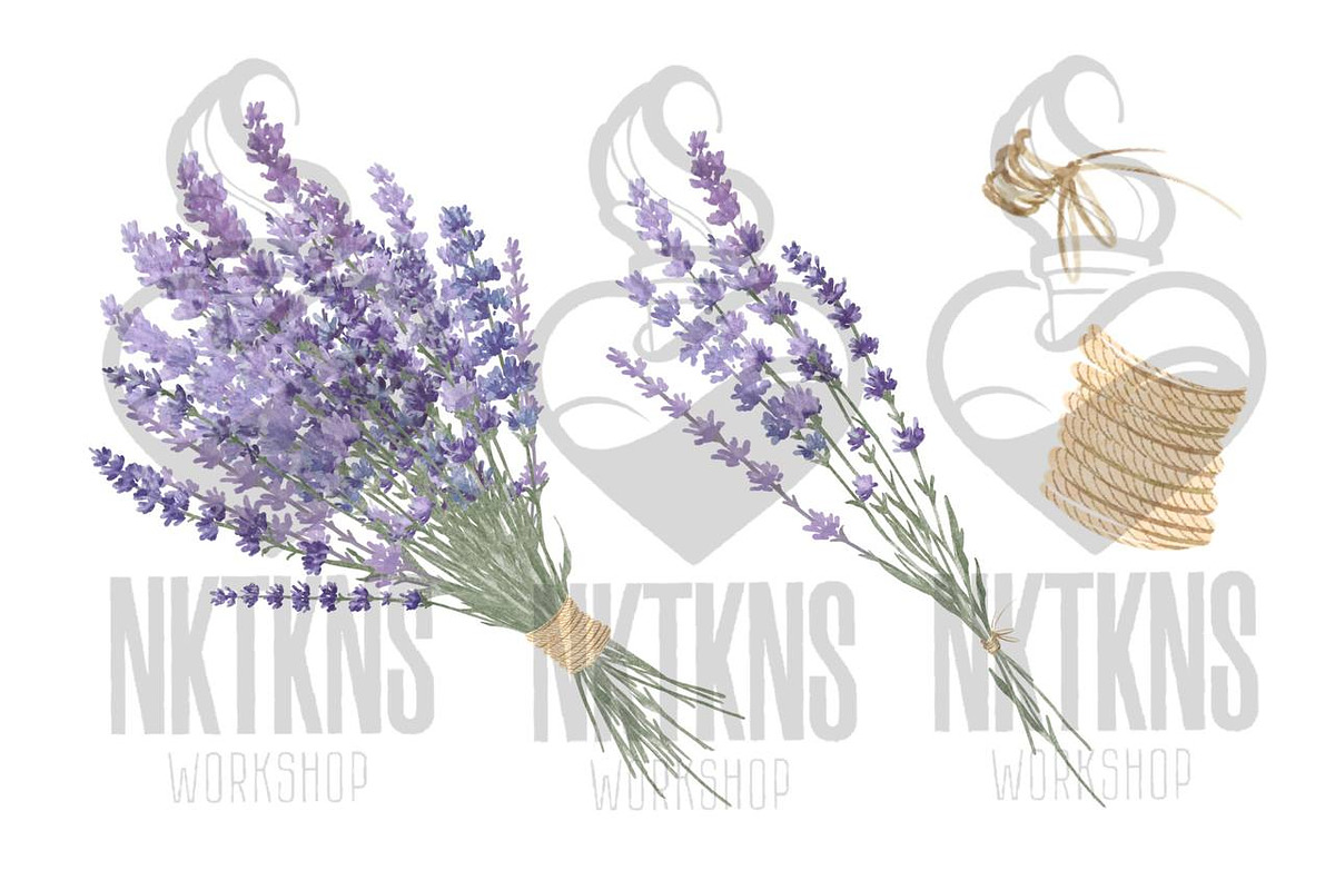 Lavender watercolor flower clipart., a Decorative Illustration by NKTKNS (Photo 4 of 7)