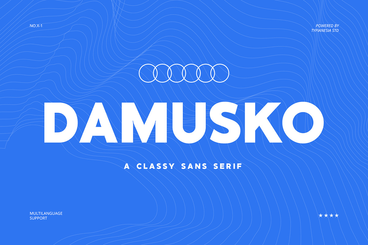 Damusko - Damusko - Classy Sans Seri, a Sans Serif Font by Typia Nesia (Photo 1 of 15)