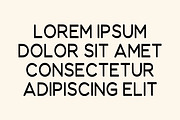 Fresh Lemonade, a Sans Serif Font by Limited.studio (Thumbnail 4 of 5)