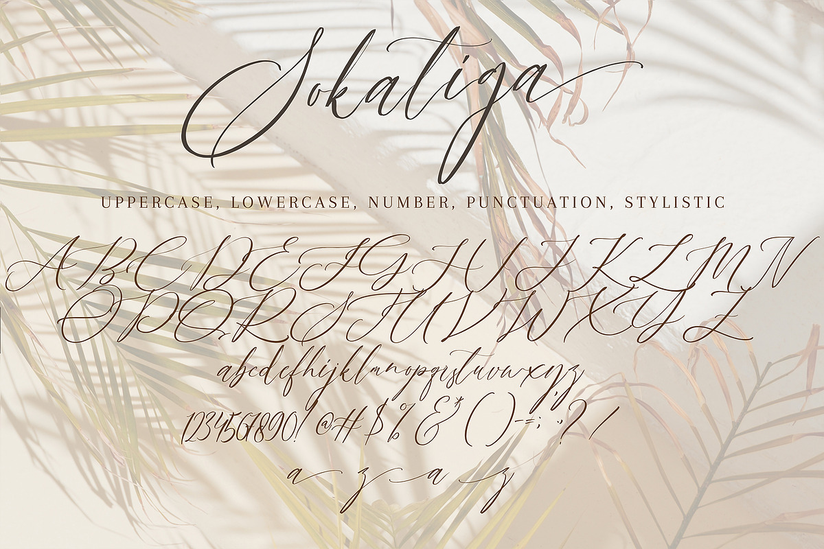Sokatiga, a Script Font by pineungtype (Photo 10 of 10)