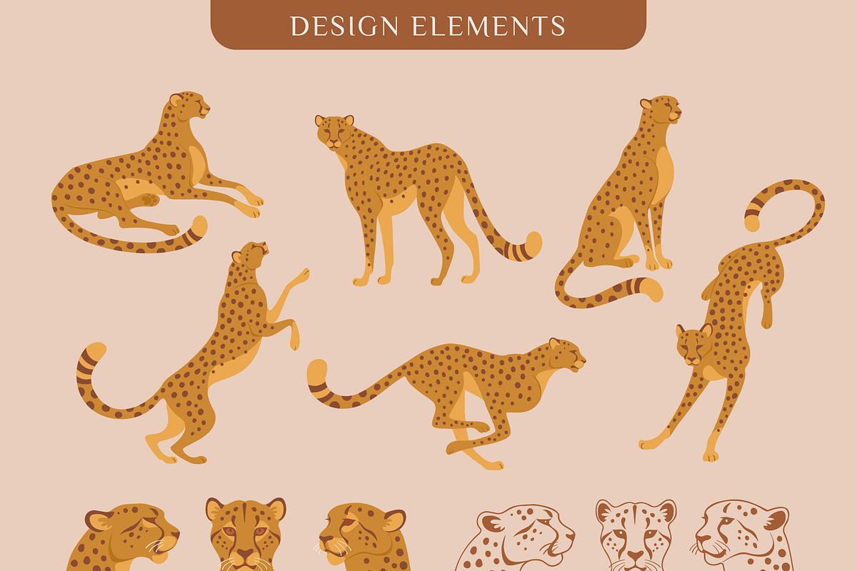 Land Of Cheetah graphic collection, an Illustration by 12pm-am (Photo 4 of 12)