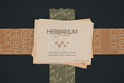Armonia - Creative Font Duo, a Serif Font by VP Fonts (Thumbnail 11 of 20)