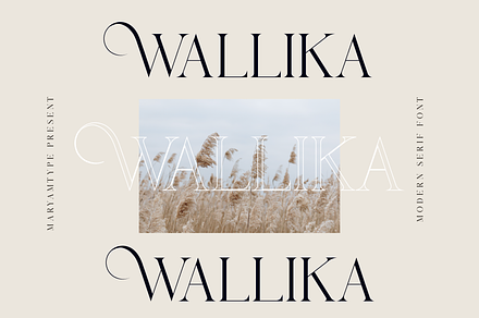 Wallika, a Serif Font by Maryamtype Studio