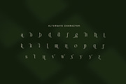 Thomy Elegant Serif Font, a Serif Font by Graphicxell (Thumbnail 7 of 8)