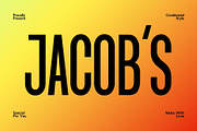 Jacob's-Modern Condensed Sans Serif, a Sans Serif Font by Font Kingdom (Thumbnail 1 of 5)