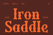 CS Revenant Drawn, a Serif Font by Craft Supply Co. (Thumbnail 5 of 8)