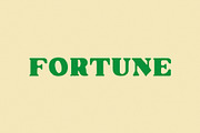 Fortune | A Lucky Display Font, a Serif Font by Taylor Penton (Thumbnail 1 of 6)