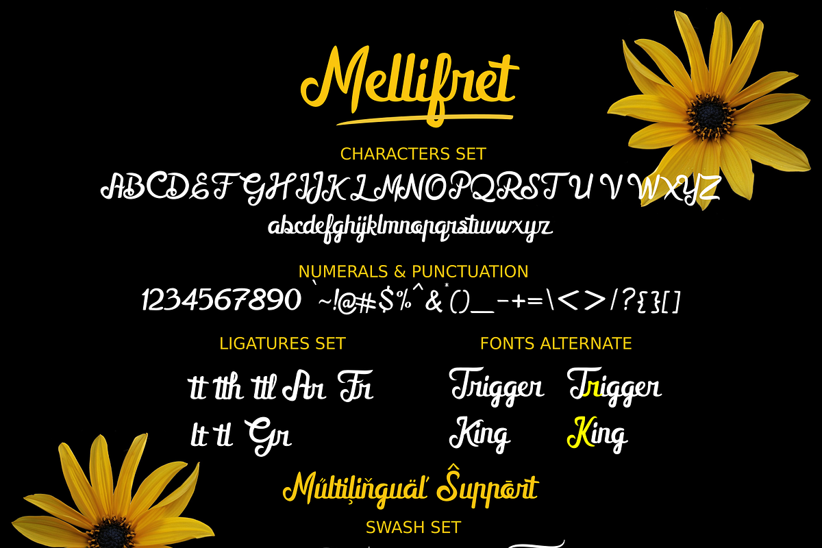 Mellifret script font, a Script Font by Java pep (Photo 11 of 11)