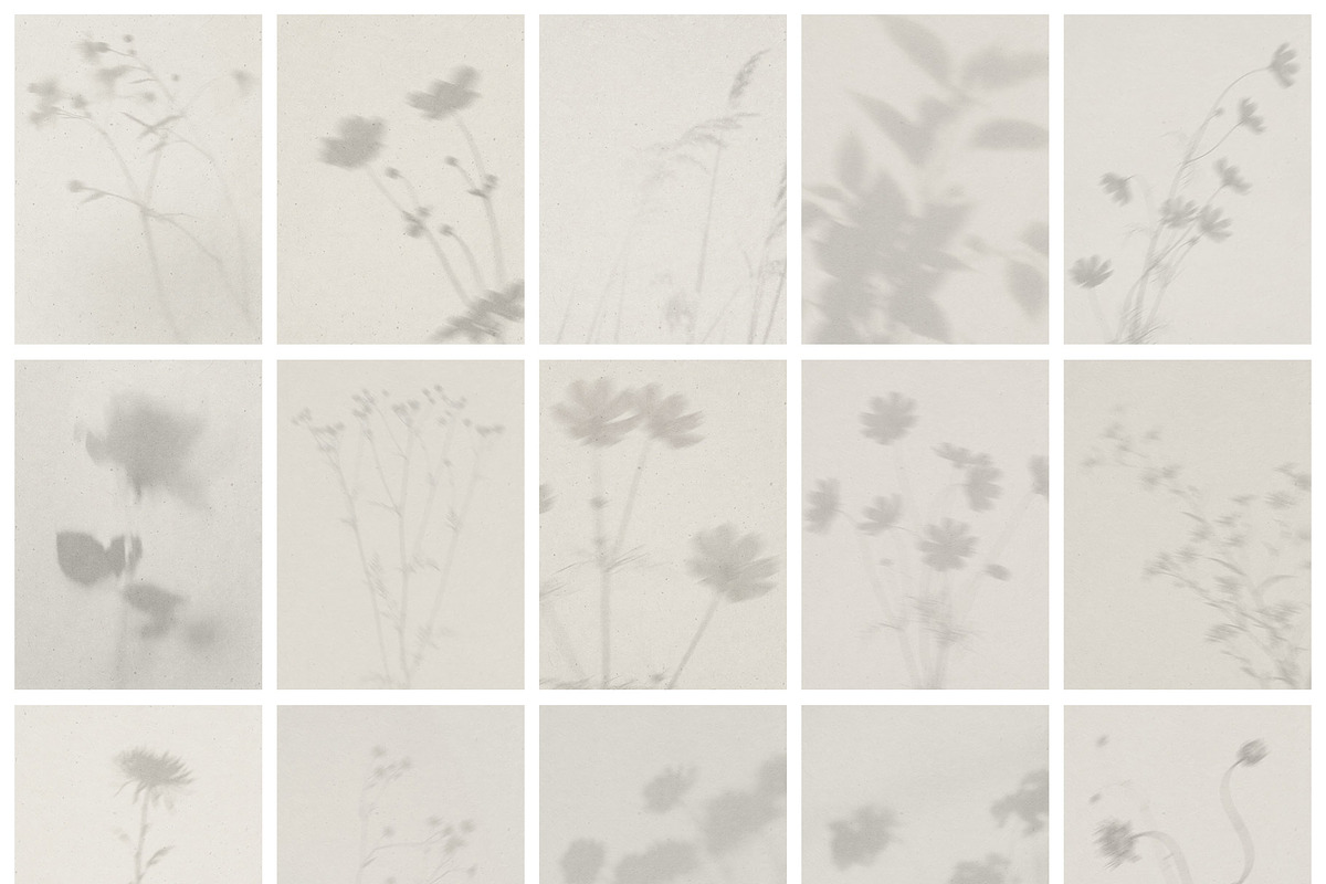 Diaphane - Blurry Floral Backgrounds, a Background Graphic by alonahaidash (Photo 12 of 16)