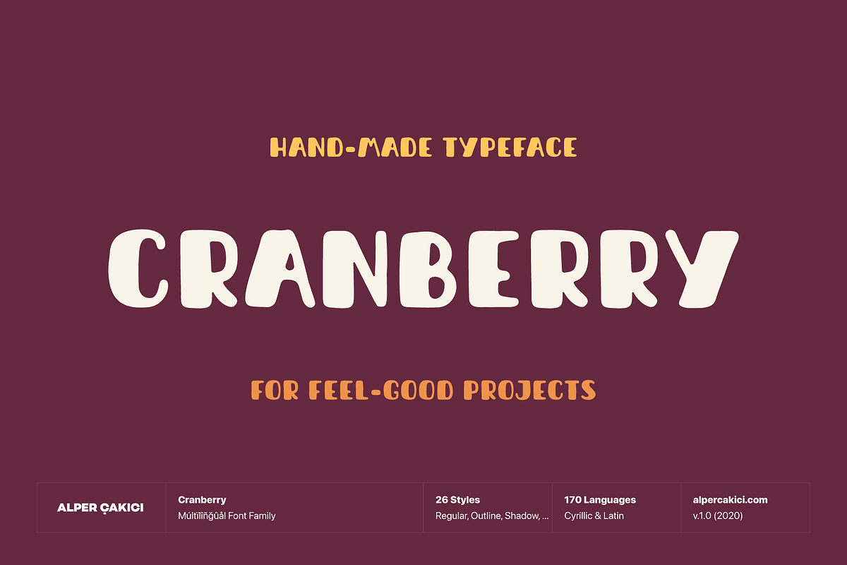 Cranberry Playful Handmade Typeface, a Script Font by alpercakici (Photo 14 of 14)