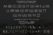 White Line, a Sans Serif Font by FreshTypeINK (Thumbnail 5 of 8)
