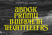 Meginer Nineties - Modern Serif, a Serif Font by Comactype Foundry (Thumbnail 22 of 22)