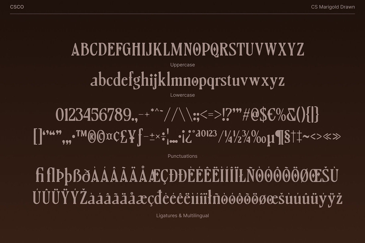 CS Marigold Drawn, a Serif Font by Craft Supply Co. (Photo 8 of 8)