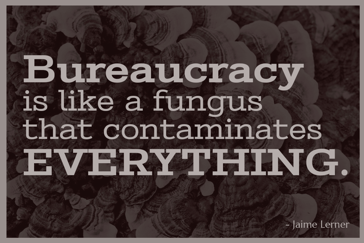 Stint Expanded Pro Family preview 3