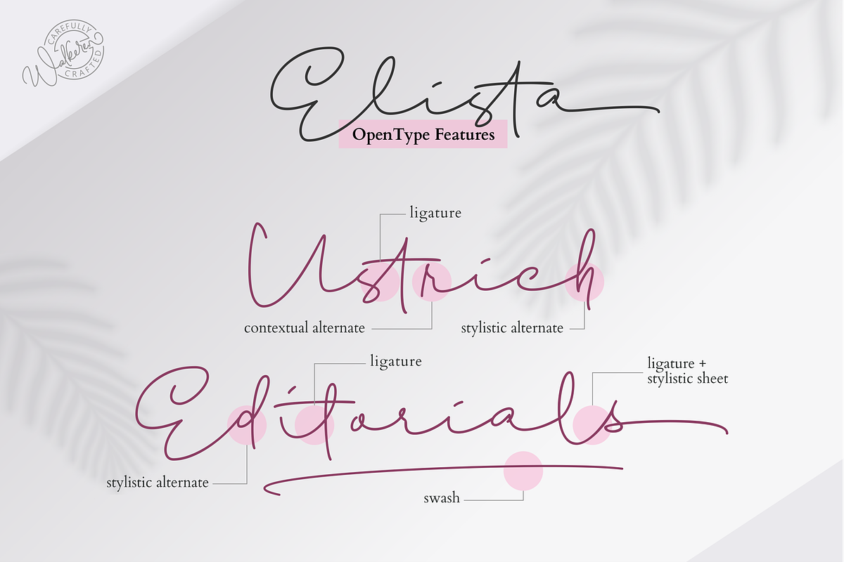 Elista // A Casual Handwritten Font, a Script Font by Walkeren (Photo 13 of 18)