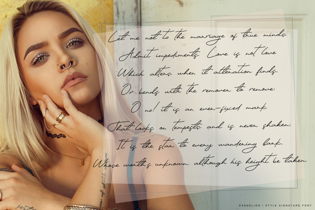 Dandelion, a Script Font by Larin Type Co. (Photo 14 of 14)