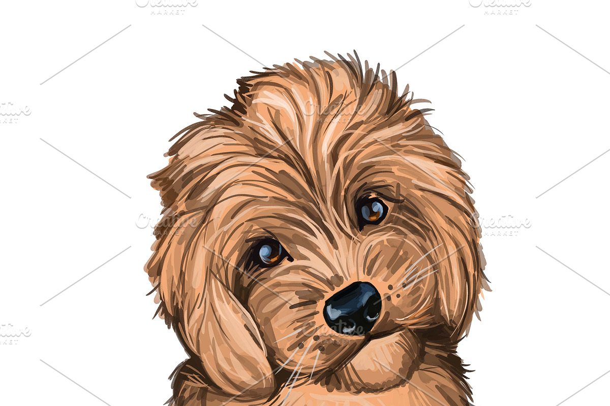 Dogs Cross Breeds 56 Animals Bundle, an Animal Illustration by Dneprstock (Photo 33 of 55)