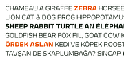 Meguro Sans, a Sans Serif Font by GT&CANARY (Thumbnail 6 of 12)