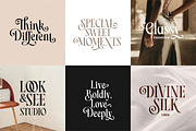 Markstyle Stylish Serif, a Serif Font by Letterhend Studio (Thumbnail 7 of 9)