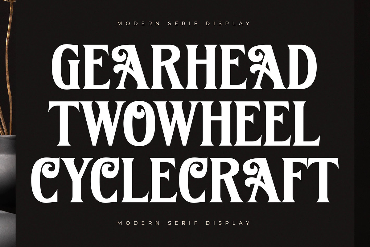 Kingtron Modern Serif Display, a Serif Font by Letterena Studios (Photo 5 of 15)