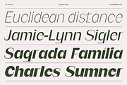 SG Verace Display Font, a Sans Serif Font by Studio Gulden (Thumbnail 9 of 15)