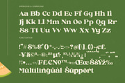 Jungle Melon Groovy Display Serif, a Serif Font by timelesstype.co (Thumbnail 18 of 20)