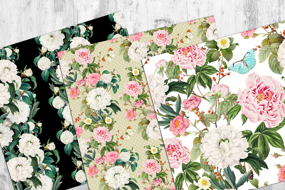 Peony Seamless Pattern, a Pattern Graphic by NastiaDesignsPrints (Photo 11 of 11)