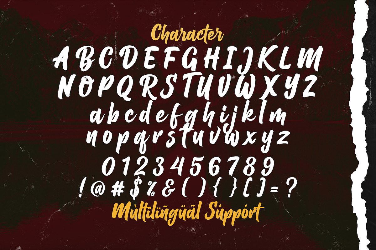 Balhgi Rizetons - Bold Script Font, a Script Font by StringLabs (Photo 9 of 10)