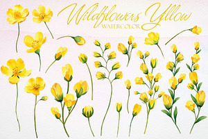 Watercolor Yellow Wildflowers Vector