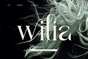 vindea Ligature Serif Typeface, a Serif Font by Humaira_std (Thumbnail 6 of 11)