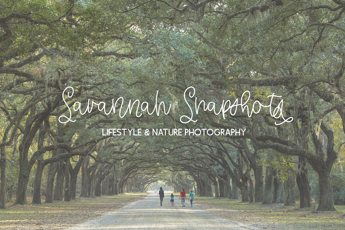 Honeybelle Calligraphy Script, a Script Font by Beck McCormick (Photo 5 of 10)