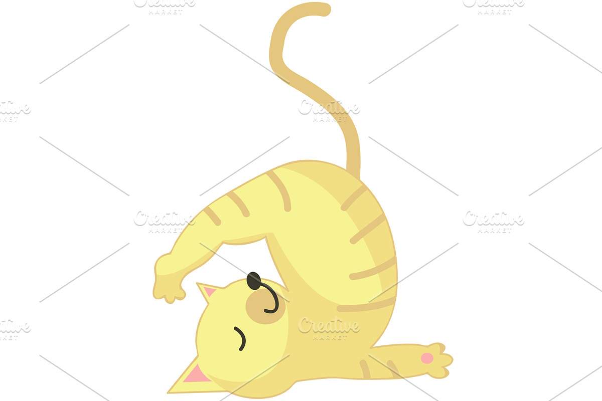 Yoga cat vector in sarvangasana pose, an Animal Illustration by SiberianArt