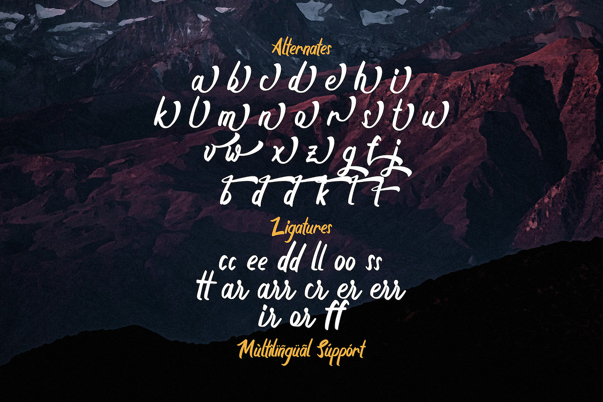 Boyna - Bold Script Font, a Script Font by StringLabs (Photo 14 of 14)