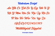 Naterium Retro-Modern Script Font, a Script Font by Typetemp Studio (Thumbnail 15 of 16)