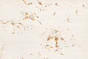 Baby's Breath Rose Gold Patterns, a Pattern Graphic by Blixa 6 Studios (Thumbnail 3 of 6)