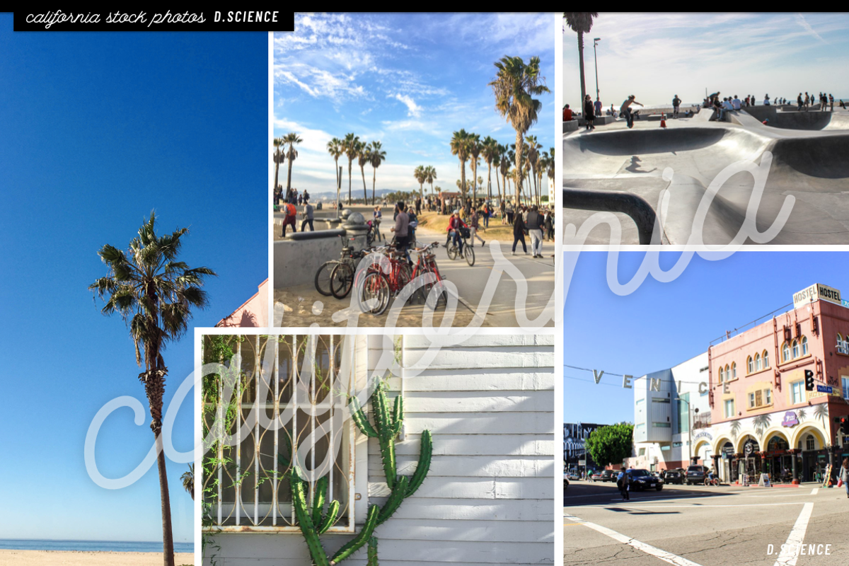 200+ California Stock Photo Bundle, a Business Photo by Template Monkey @dscience (Photo 24 of 38)
