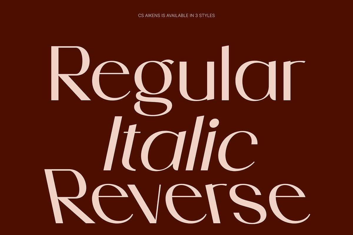 CS Aikens – Elegant Sans Serif, a Sans Serif Font by Craft Supply Co. (Photo 3 of 8)