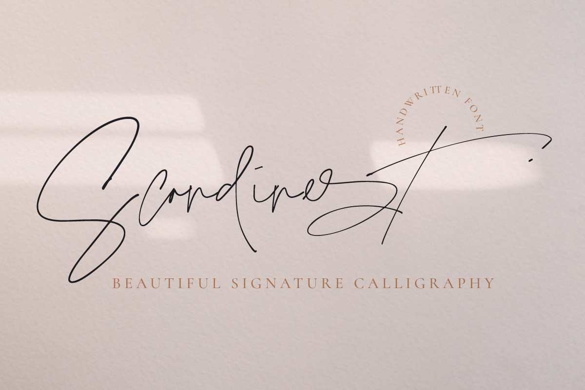 Scandinest - Signature With Ligature, a Script Font by Dirtytemp Studio (Photo 4 of 16)