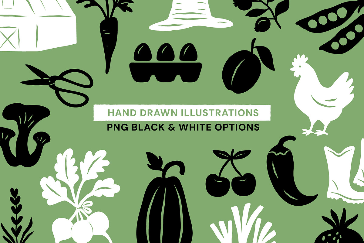 FARMERS MARKET, HAND DRAWN SET, a Food Illustration by NatalieArtShop (Photo 7 of 14)
