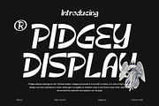 Pidgey, a Sans Serif Font by Damelev (Thumbnail 1 of 9)