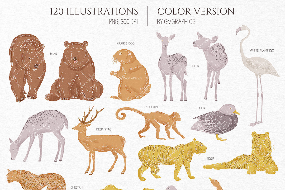 Into the Wild Collection, an Animal Illustration by GVGraphics (Photo 2 of 24)
