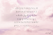 Lulu Handmade Script, a Script Font by Studio Fawn (Thumbnail 4 of 4)