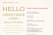 Adorn Collection, a Sans Serif Font by Laura Worthington (Thumbnail 29 of 62)