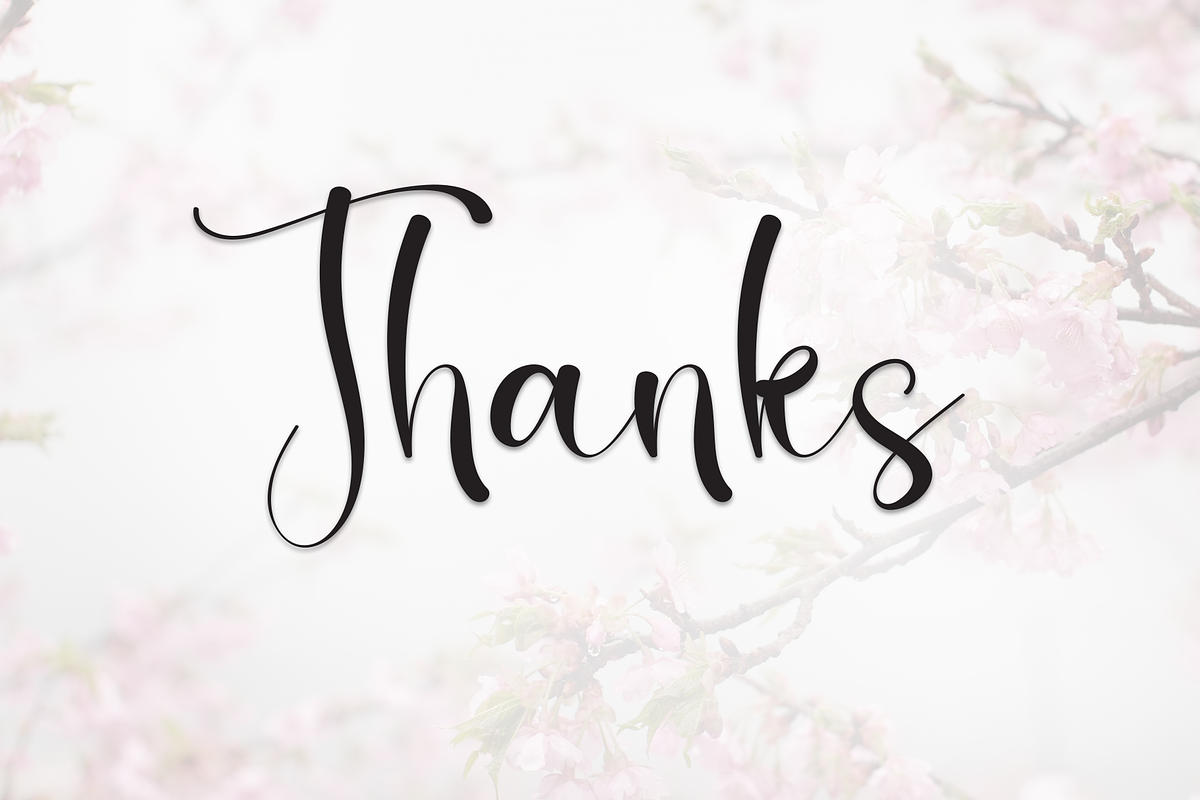 Cherry Blossom | Script Font, a Handwritten Font by Scratchones (Photo 8 of 8)