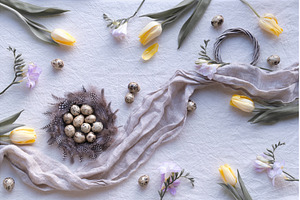 Easter nest with quail eggs and, a Holiday Photo by tilialucida