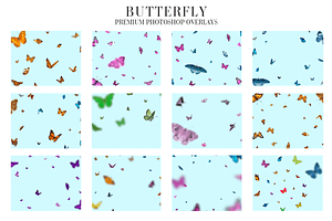 Butterfly Overlays Photoshop