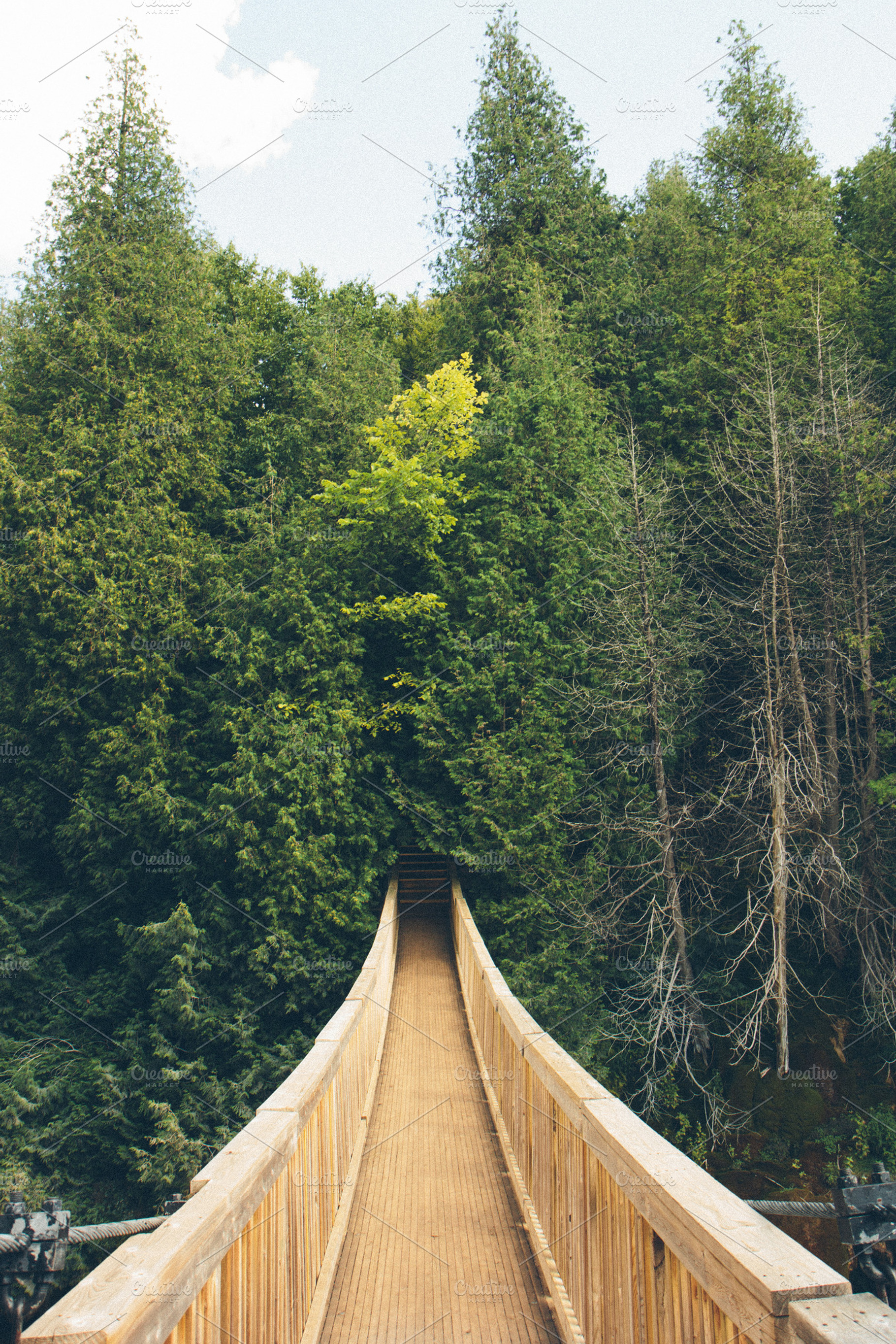 Wooden Suspended Bridge in Forest, a Nature Photo by Jamie Pickering