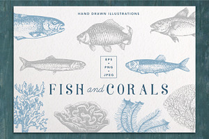 Fish & Corals Collection